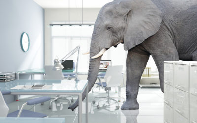 The Microsoft Purchase of LinkedIn Has Created an Elephant in the Room For Salesforce